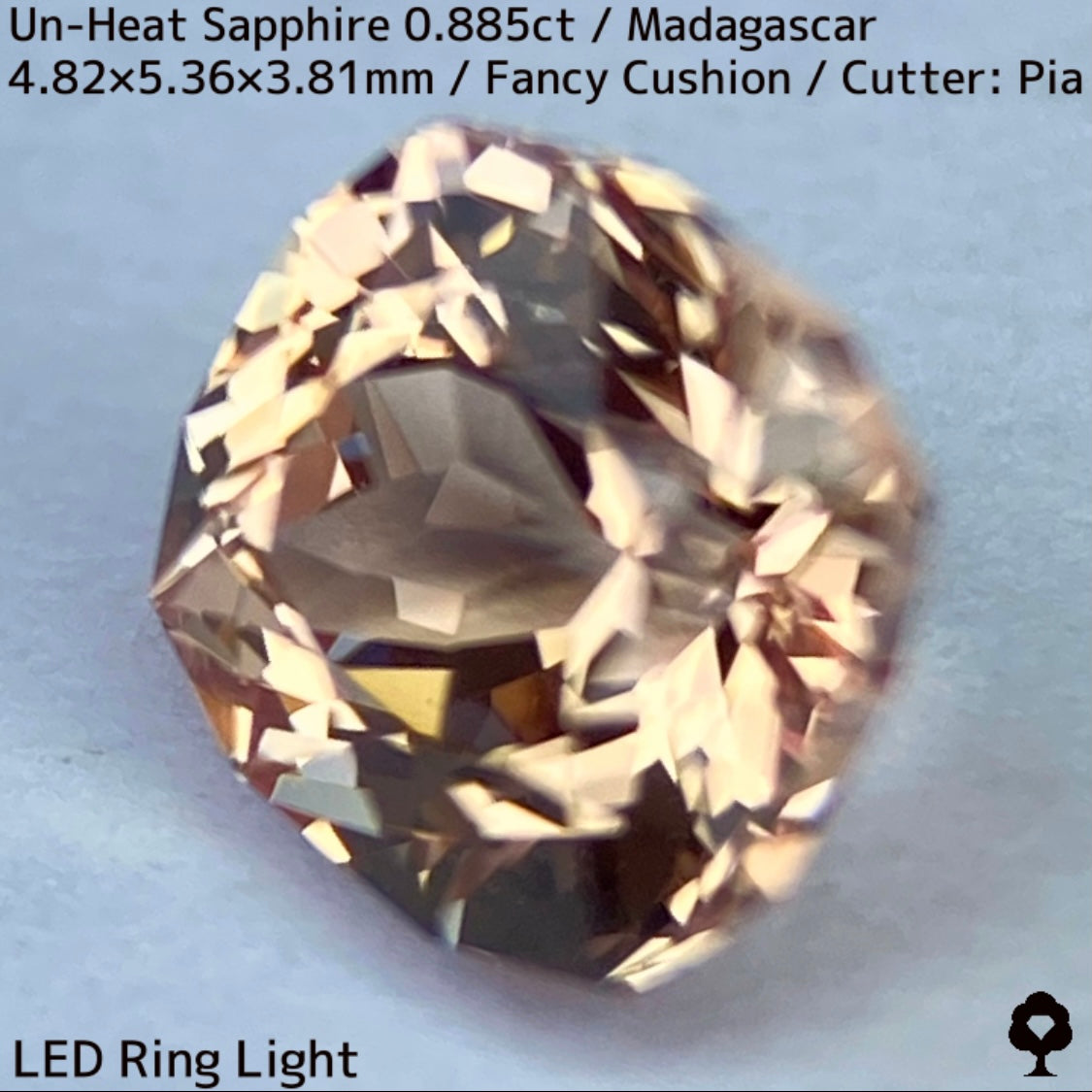 マダガスカル産非加熱サファイア0.885ct★インペリアルトパーズの様なシェリー感ある品と風格ある一石