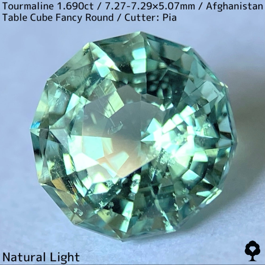 トルマリン1.690ct★美色ミントグリーンの煌めきがギラつくスパイダーカット