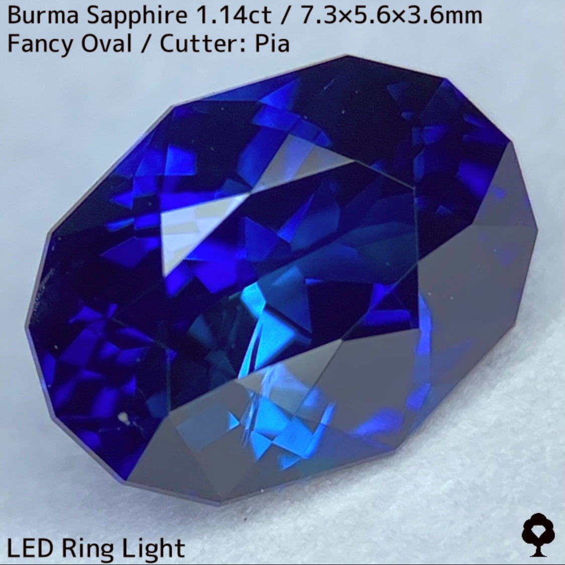 ビルマ産サファイア1.149ct★ロイヤル・コーン・ティールの3種のブルーが混ざり合うとてつもない美色