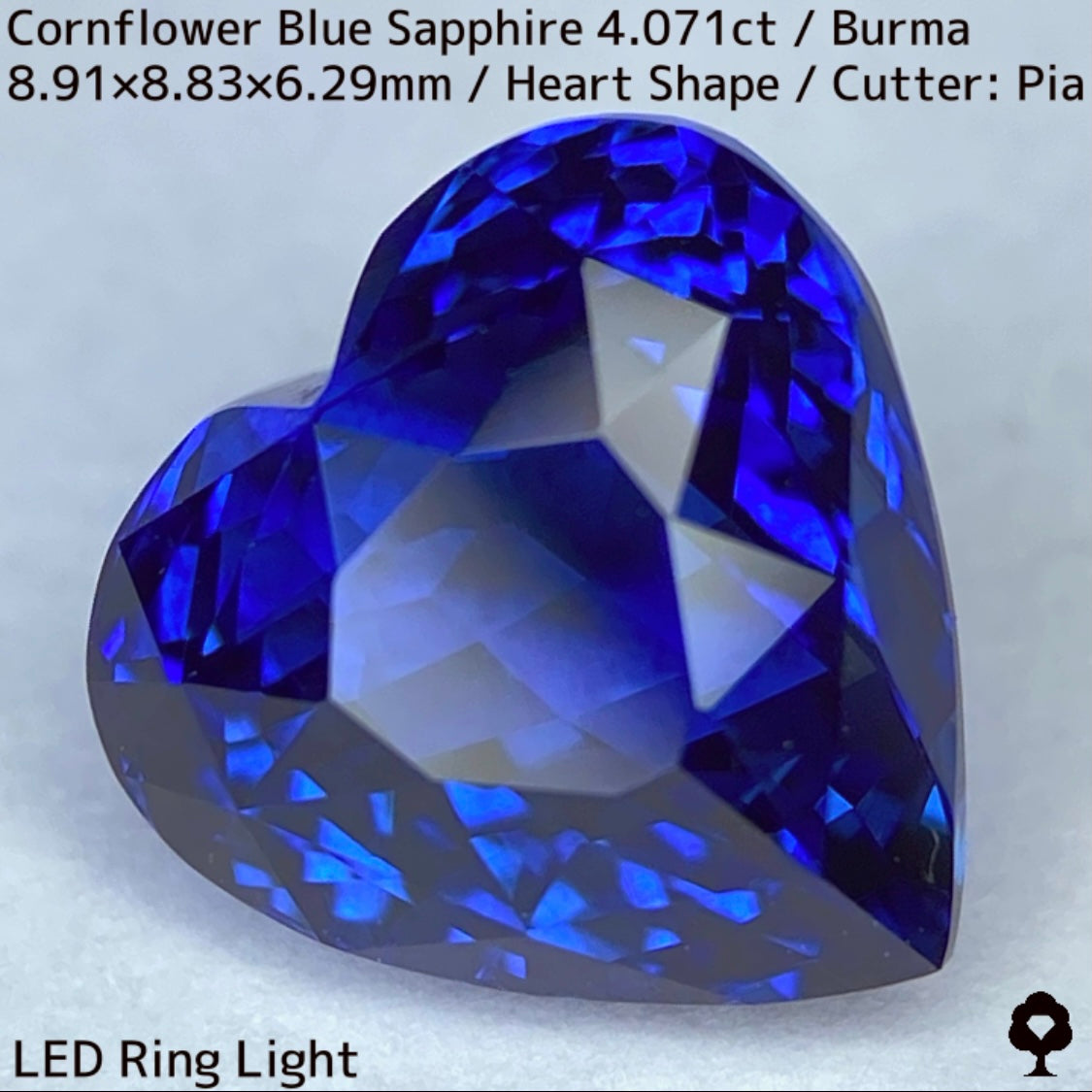 ビルマ産コーンフラワーブルーサファイア4.071ct★ロイヤルブルー寄りの濃いめ最高コーンフラワーブルーが美しすぎる超一級品