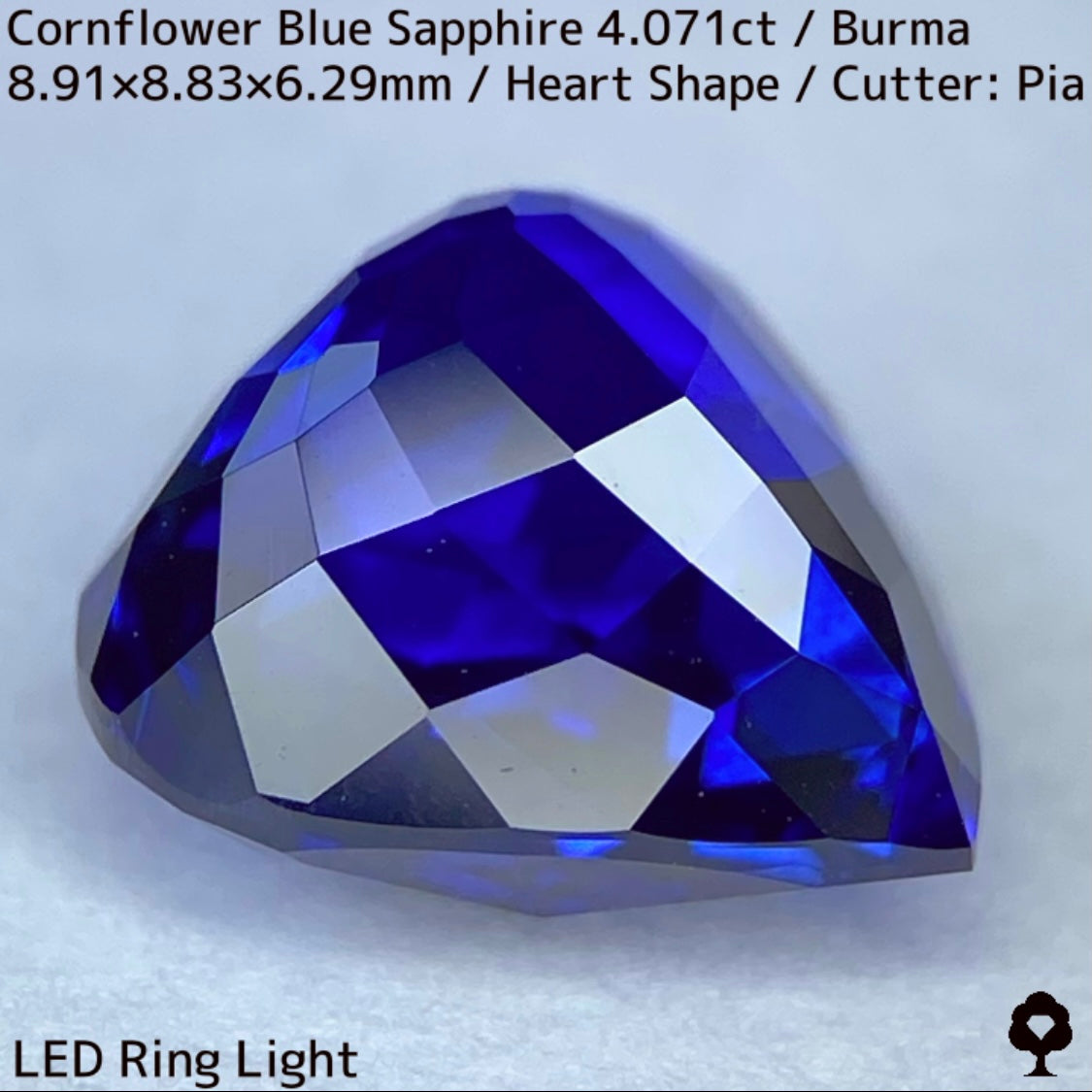 ビルマ産コーンフラワーブルーサファイア4.071ct★ロイヤルブルー寄りの濃いめ最高コーンフラワーブルーが美しすぎる超一級品