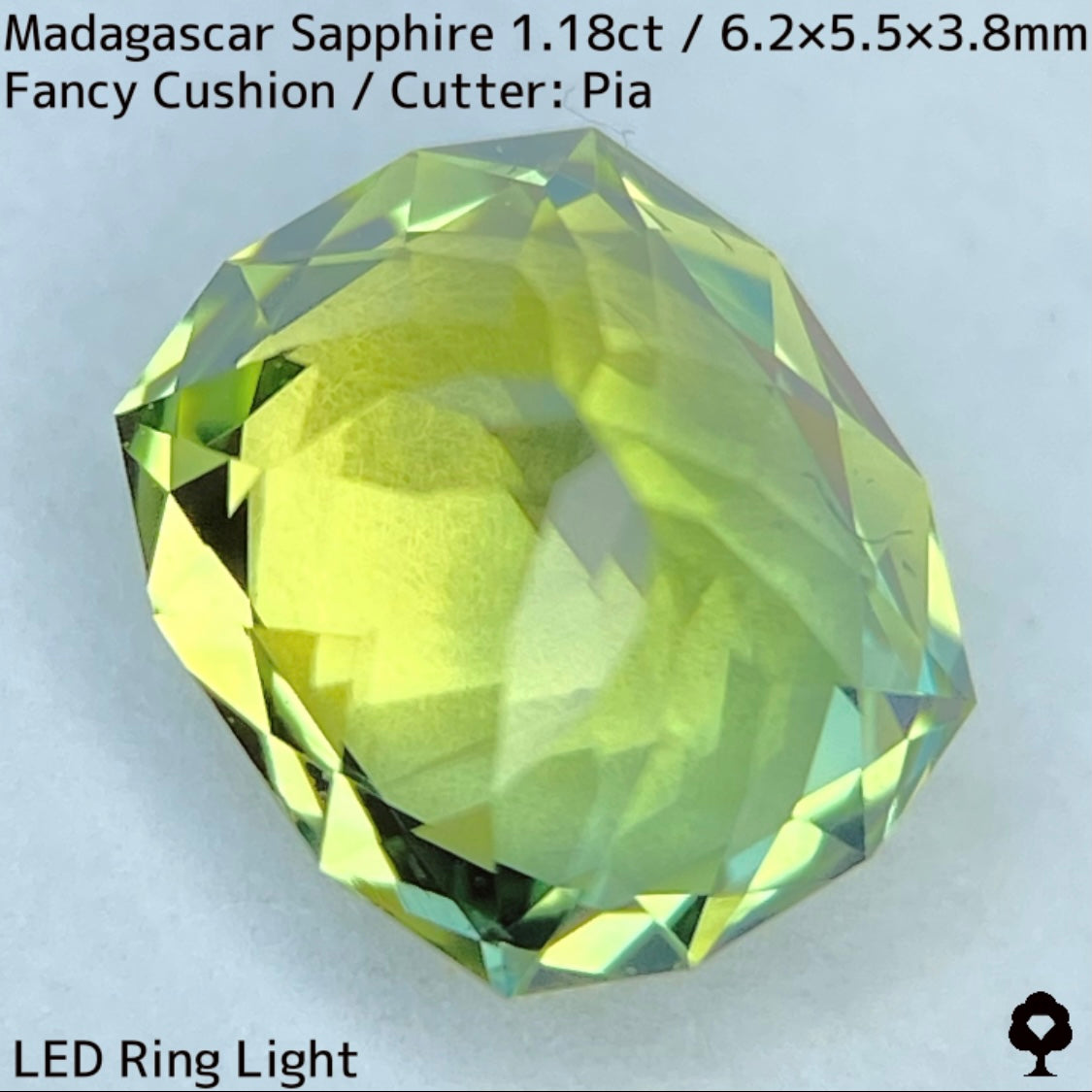 マダガスカル産サファイア1.18ct★パーティ感あるグリーンの華やかな煌めき美しいファンシークッション