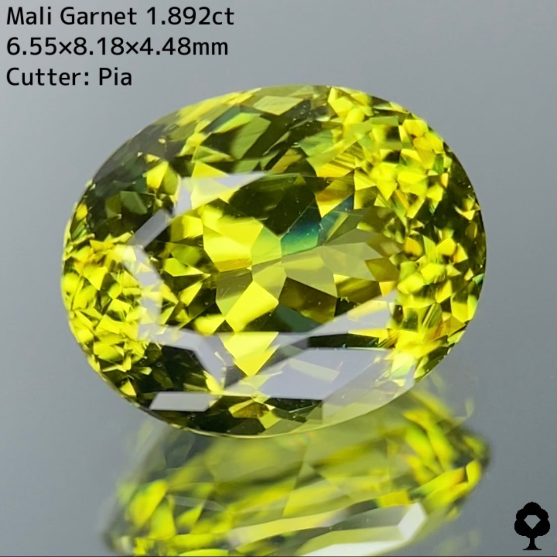 マリガーネット1.892ct☆2ctに迫る大きさの絶品結晶はテーブル