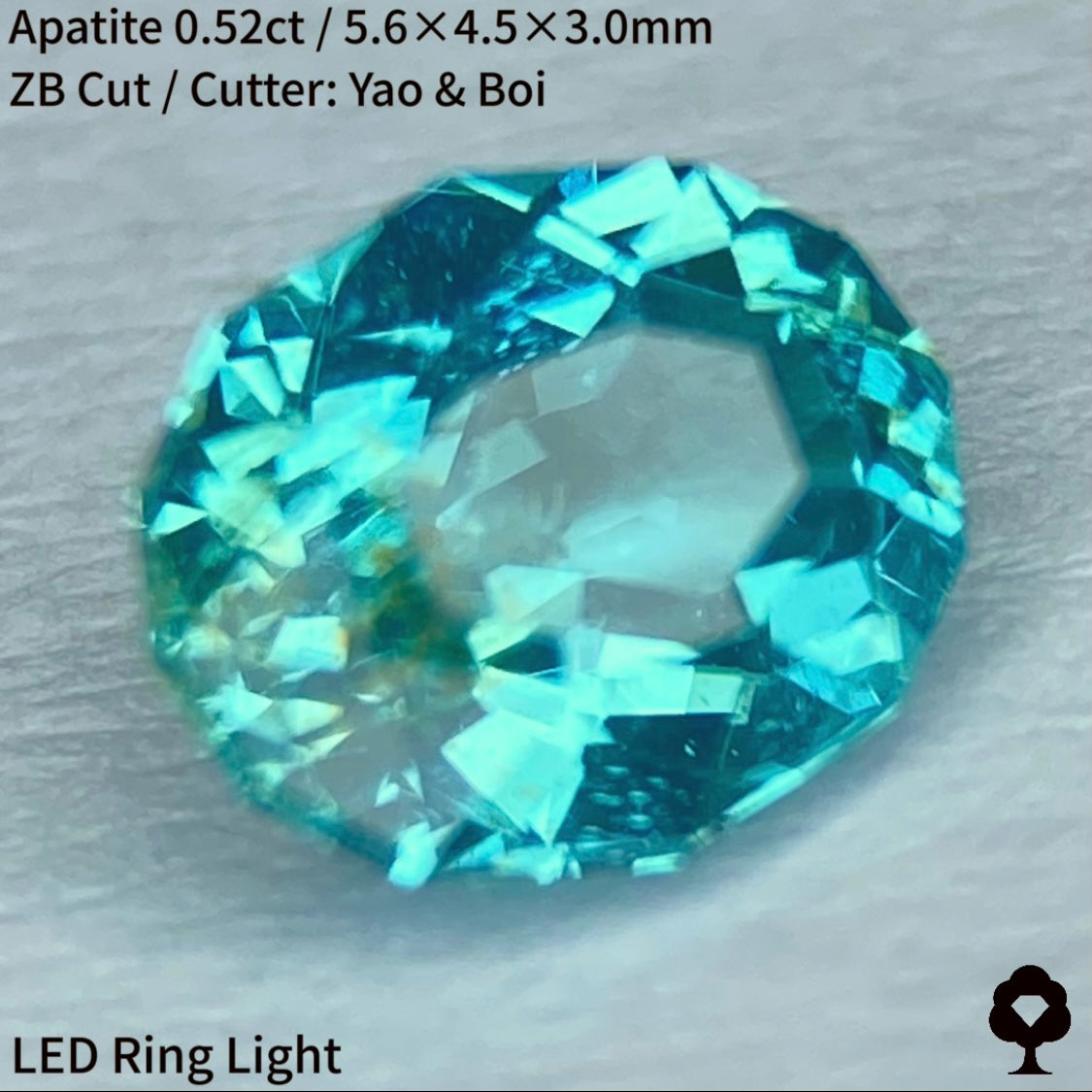 ネオン感あるマリンブルーに金木犀のようなインクルージョン★アパタイト0.52ct