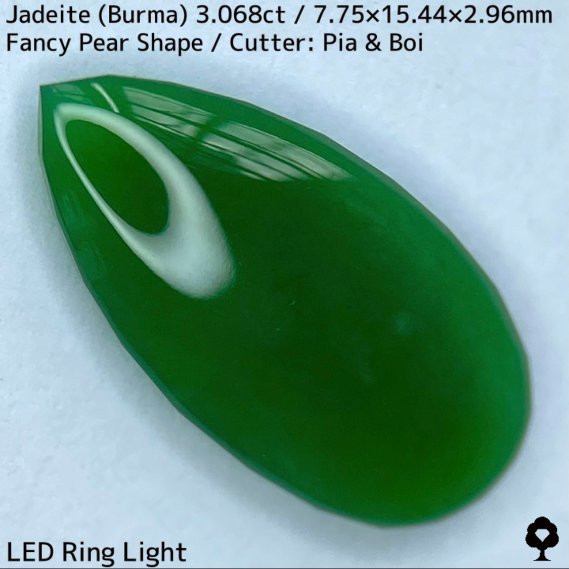 翡翠3.068ct★マスターストーンと言える濃色美グリーンのさりげなく輪郭が縁取られたツヤツヤファンシーペアシェイプ