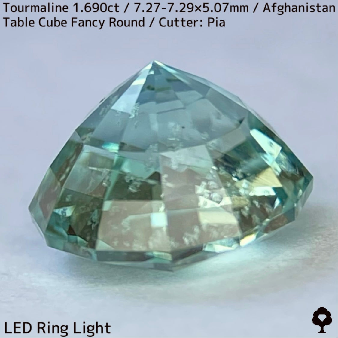 トルマリン1.690ct★美色ミントグリーンの煌めきがギラつくスパイダーカット