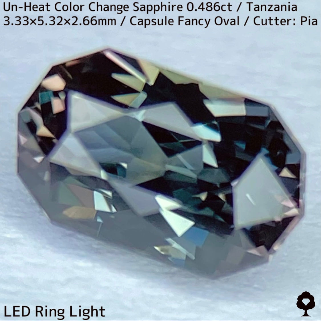 タンザニア産非加熱カラーチェンジサファイア0.486ct★深みの中に潜む多色感とゴールドシルクの銀河広がる