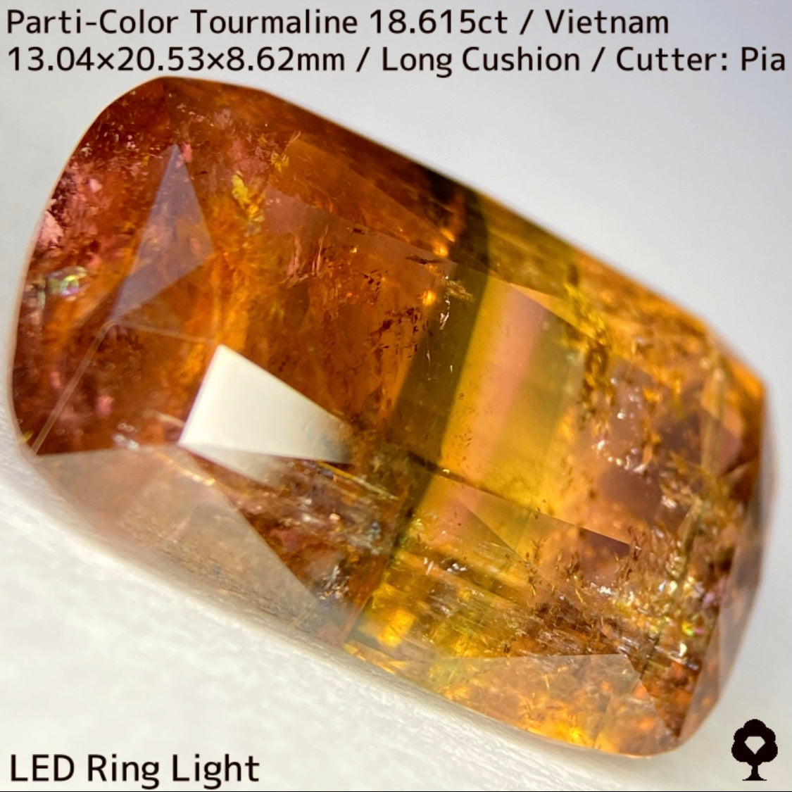 ベトナム産パーティカラートルマリン18.615ct★金屏風桜と夜桜を一石で楽しめる趣深いベトナム巨石