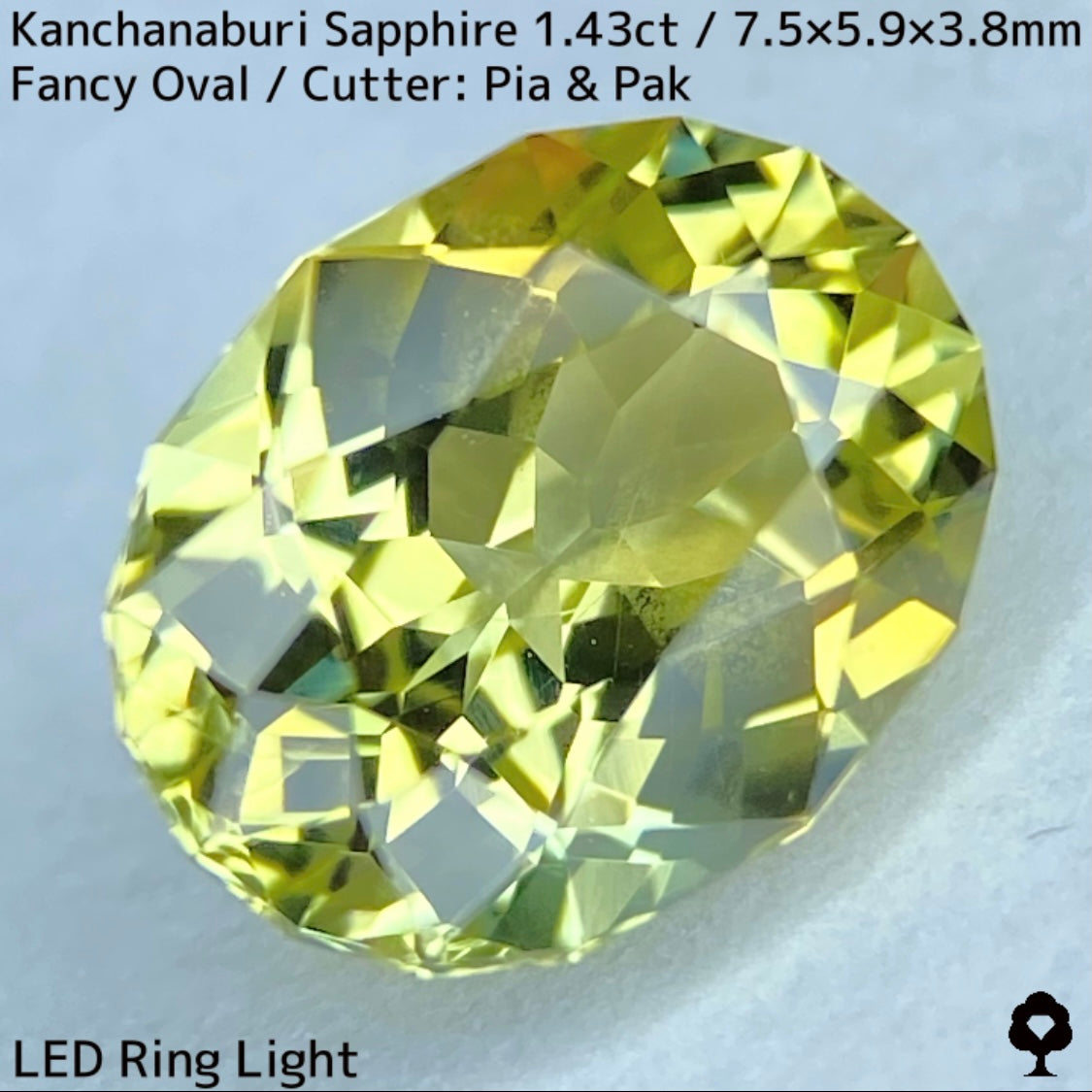 【GW特別企画★30%まほチケキャッシュバック】カンチャナブリー産サファイア1.43ct★グリニッシュイエローの1.4ctのボリュームから溢れるライトカラーの煌めきとファイアーがたまらない