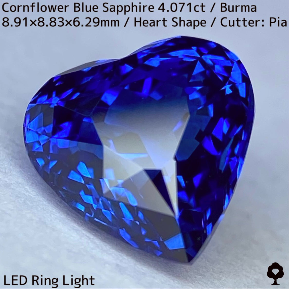 ビルマ産コーンフラワーブルーサファイア4.071ct★ロイヤルブルー寄りの濃いめ最高コーンフラワーブルーが美しすぎる超一級品