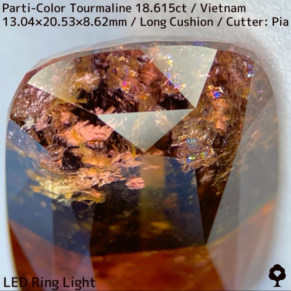 ベトナム産パーティカラートルマリン18.615ct★金屏風桜と夜桜を一石で楽しめる趣深いベトナム巨石