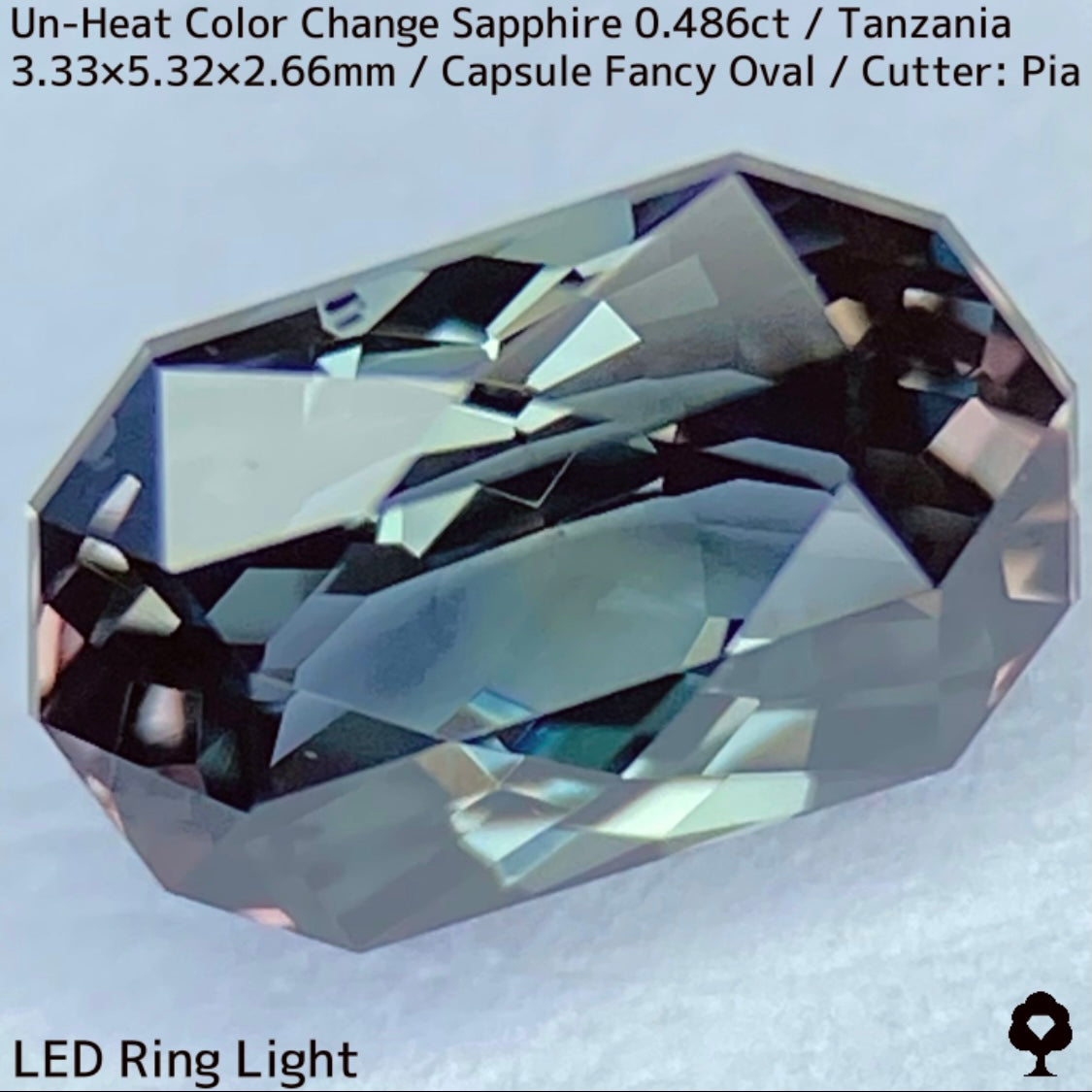 タンザニア産非加熱カラーチェンジサファイア0.486ct★深みの中に潜む多色感とゴールドシルクの銀河広がる