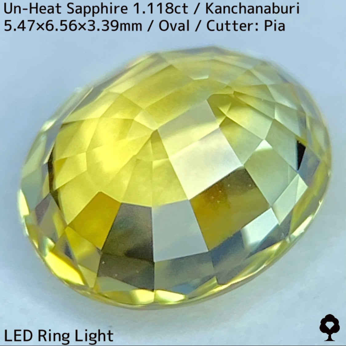 カンチャナブリー産非加熱サファイア1.118ct★弾けるライトグリニッシュイエローの強く美しい煌めき