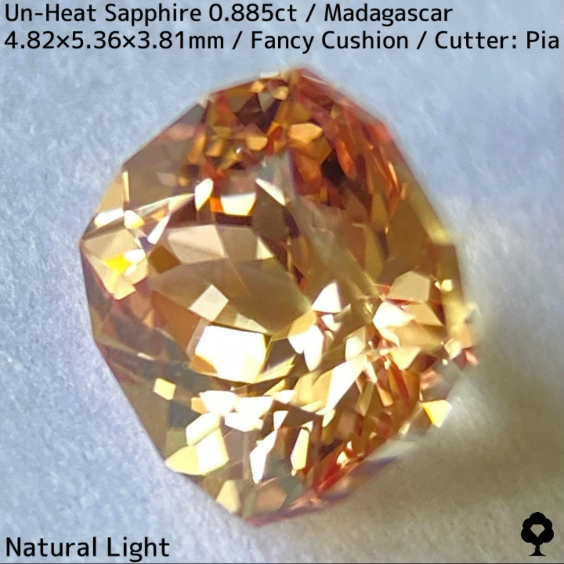 マダガスカル産非加熱サファイア0.885ct★インペリアルトパーズの様なシェリー感ある品と風格ある一石