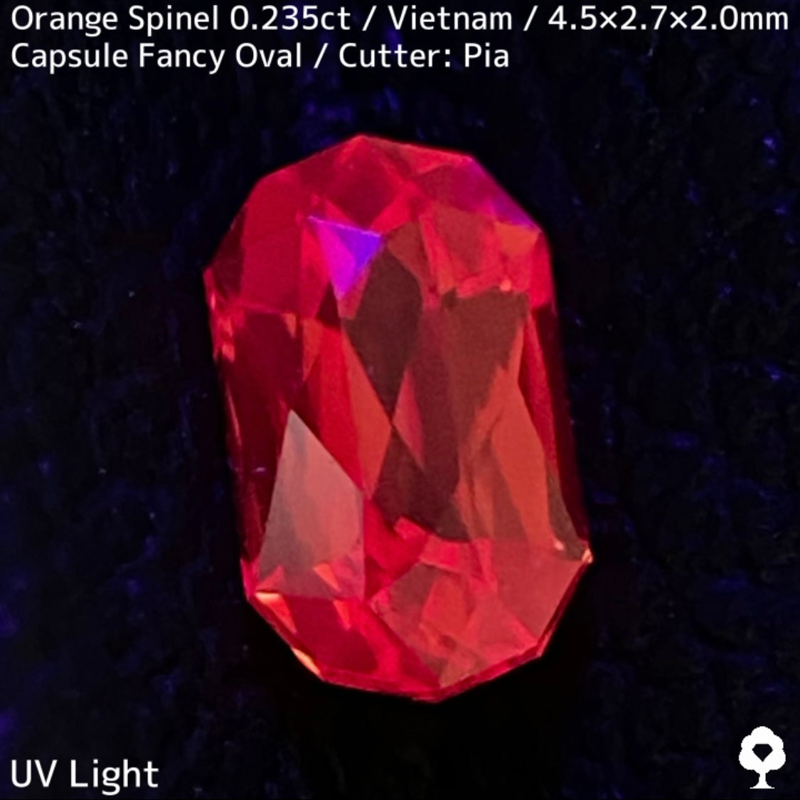ベトナム産オレンジスピネル0.235ct★超美結晶のカプセルシザースから強烈オレンジネオンの煌めき