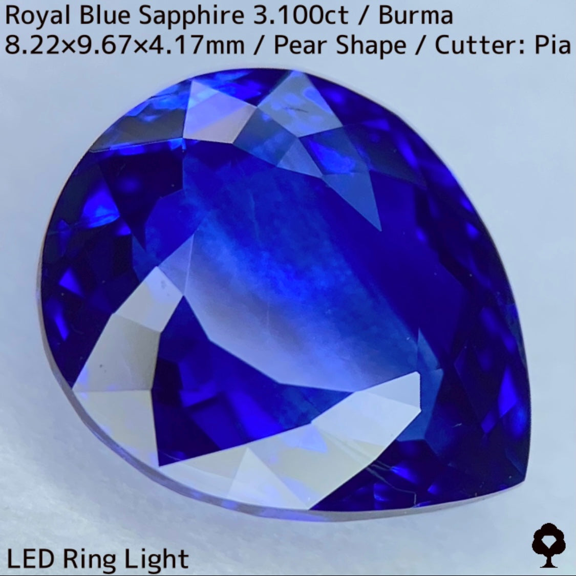 ビルマ産ロイヤルブルーサファイア3.100ct★ふっくらとした可愛いペアシェイプに仕上げられた趣ある超美色ロイヤルブルー