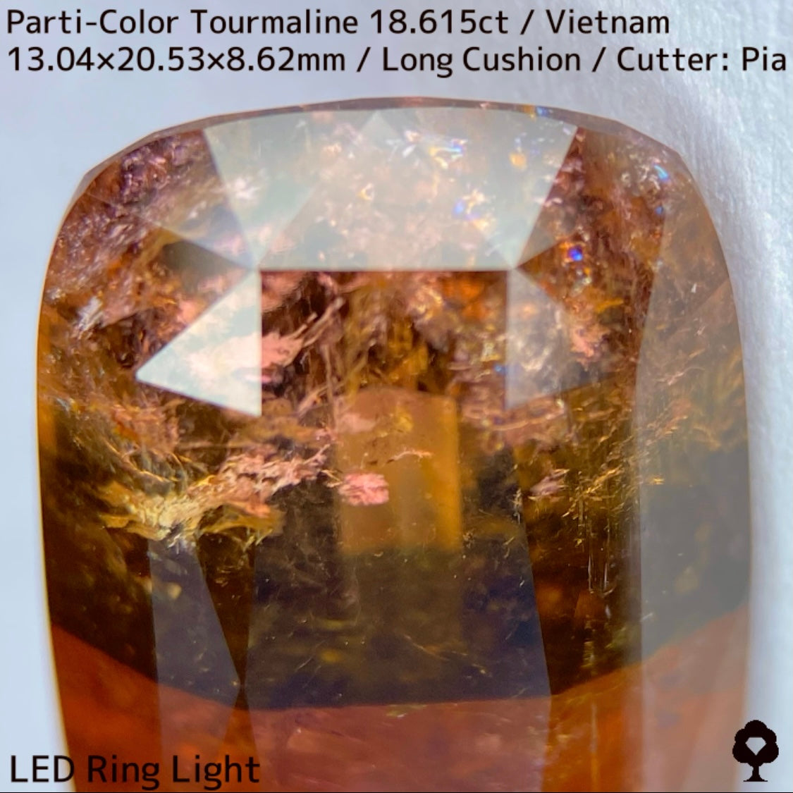 ベトナム産パーティカラートルマリン18.615ct★金屏風桜と夜桜を一石で楽しめる趣深いベトナム巨石