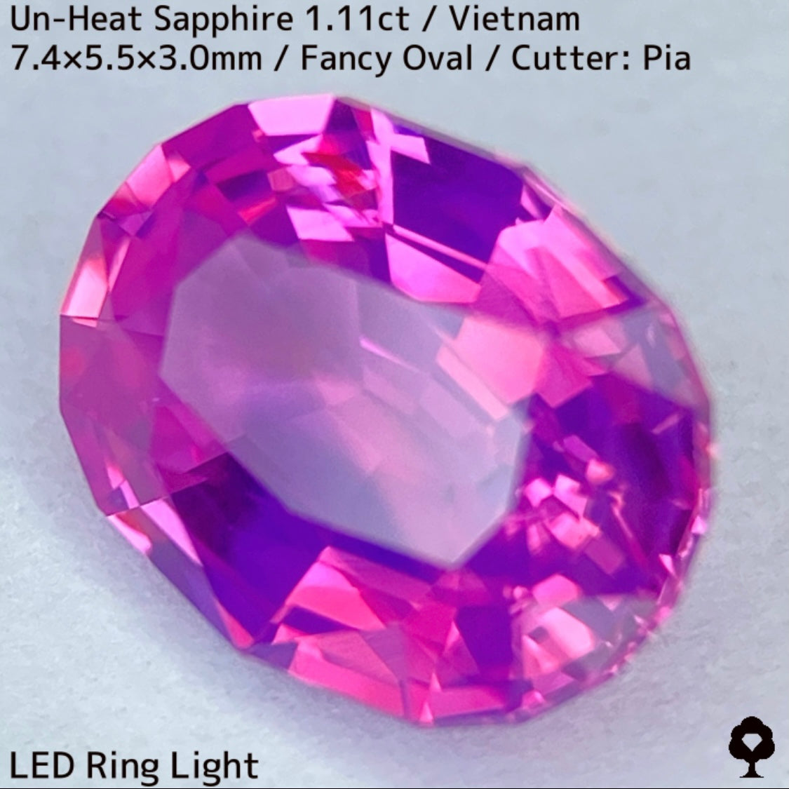 ベトナム産非加熱サファイア1.11ct