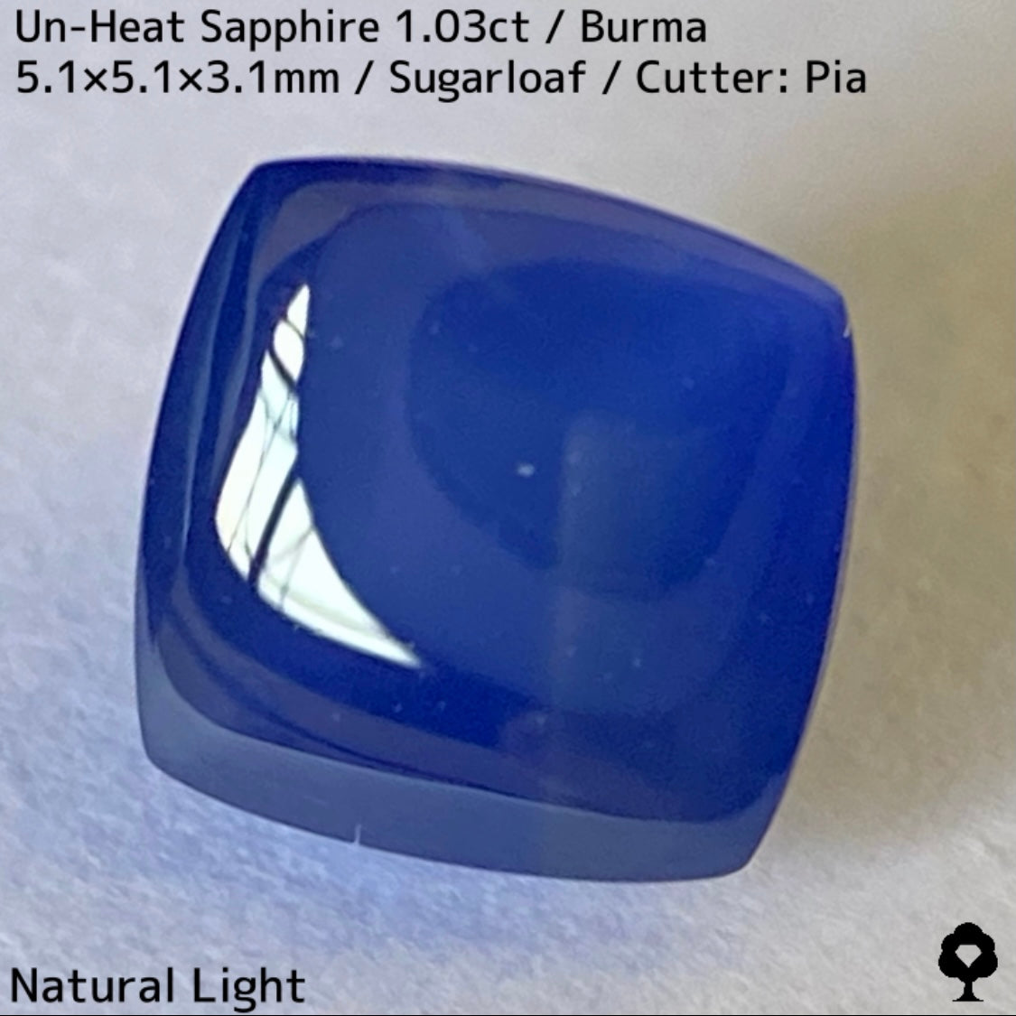 ビルマ産非加熱サファイア1.03ct★カット石品質の希少な結晶をあえてカボションにした可愛すぎるシュガーローフ