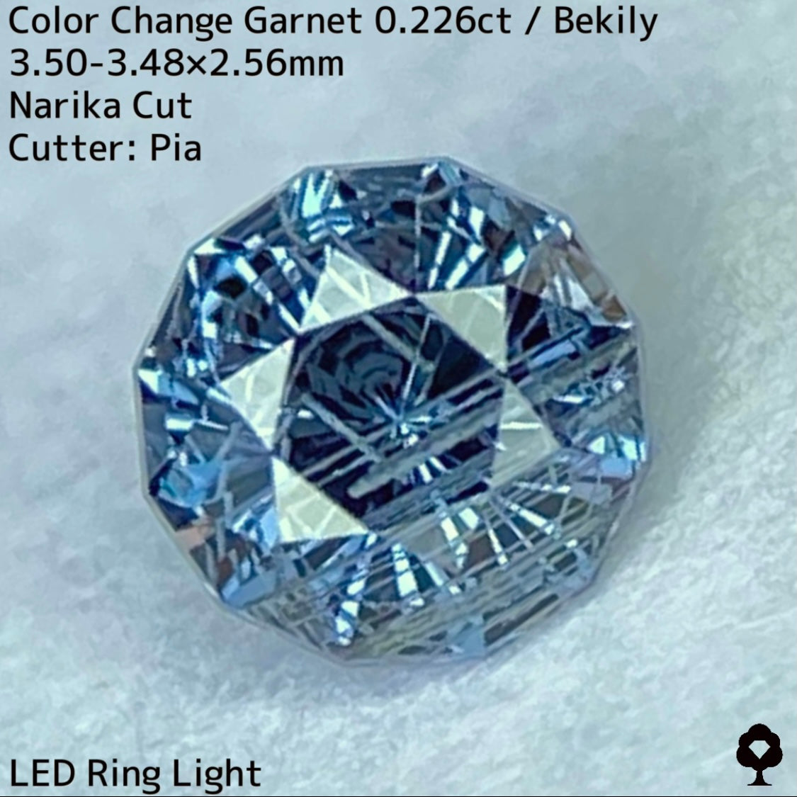 ナリカーカット仕上げのチューブインクル好き垂涎の個性派★ベキリー産カラーチェンジガーネット0.226ct