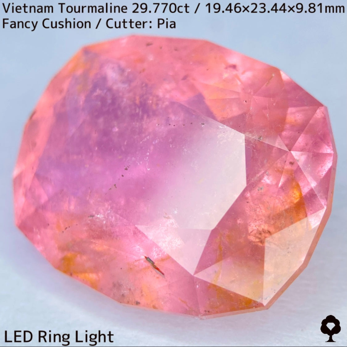 ベトナム産トルマリン29.770ct★華やかなベトナム産らしい桜満開巨石