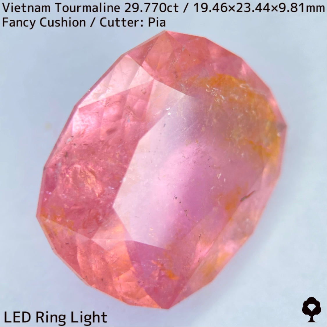 ベトナム産トルマリン29.770ct★華やかなベトナム産らしい桜満開巨石