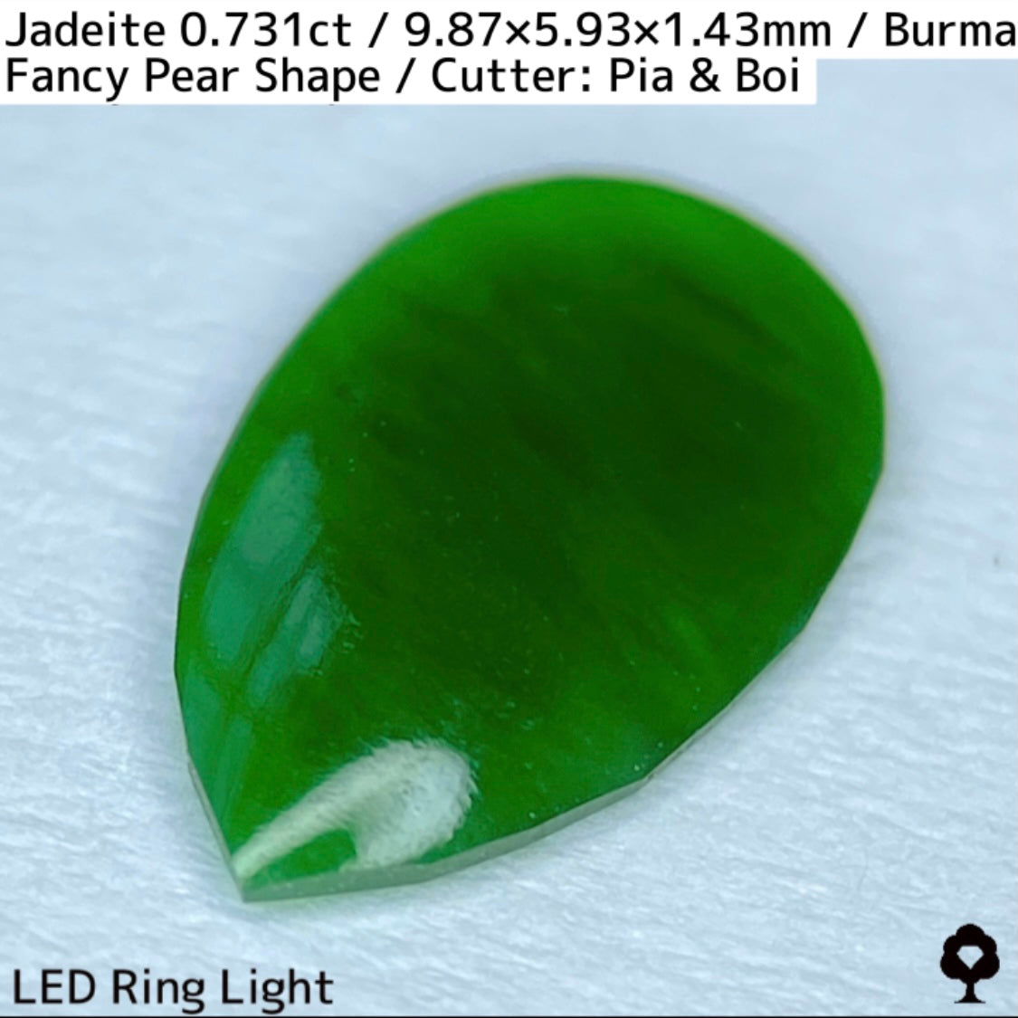 翡翠0.731ct★GTJ創業者大御所のセレクトのお手本翡翠に細やかな縁取り