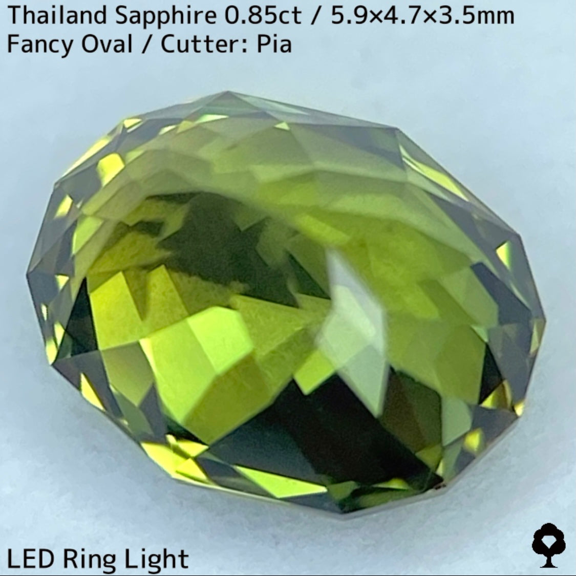 タイ産サファイア0.85ct★バンカチャらしいパーティライムカラーにファイアー彩る美結晶