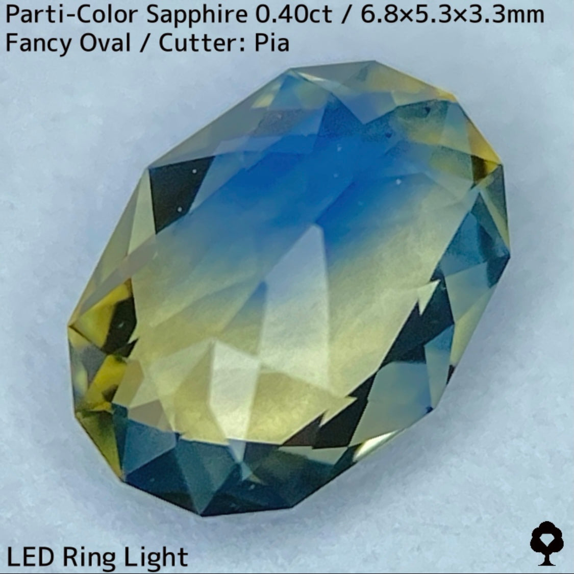 カンチャナブリー産パーティカラーサファイア0.40ct★鮮やかなイエローにシルキーブルーの色だまり