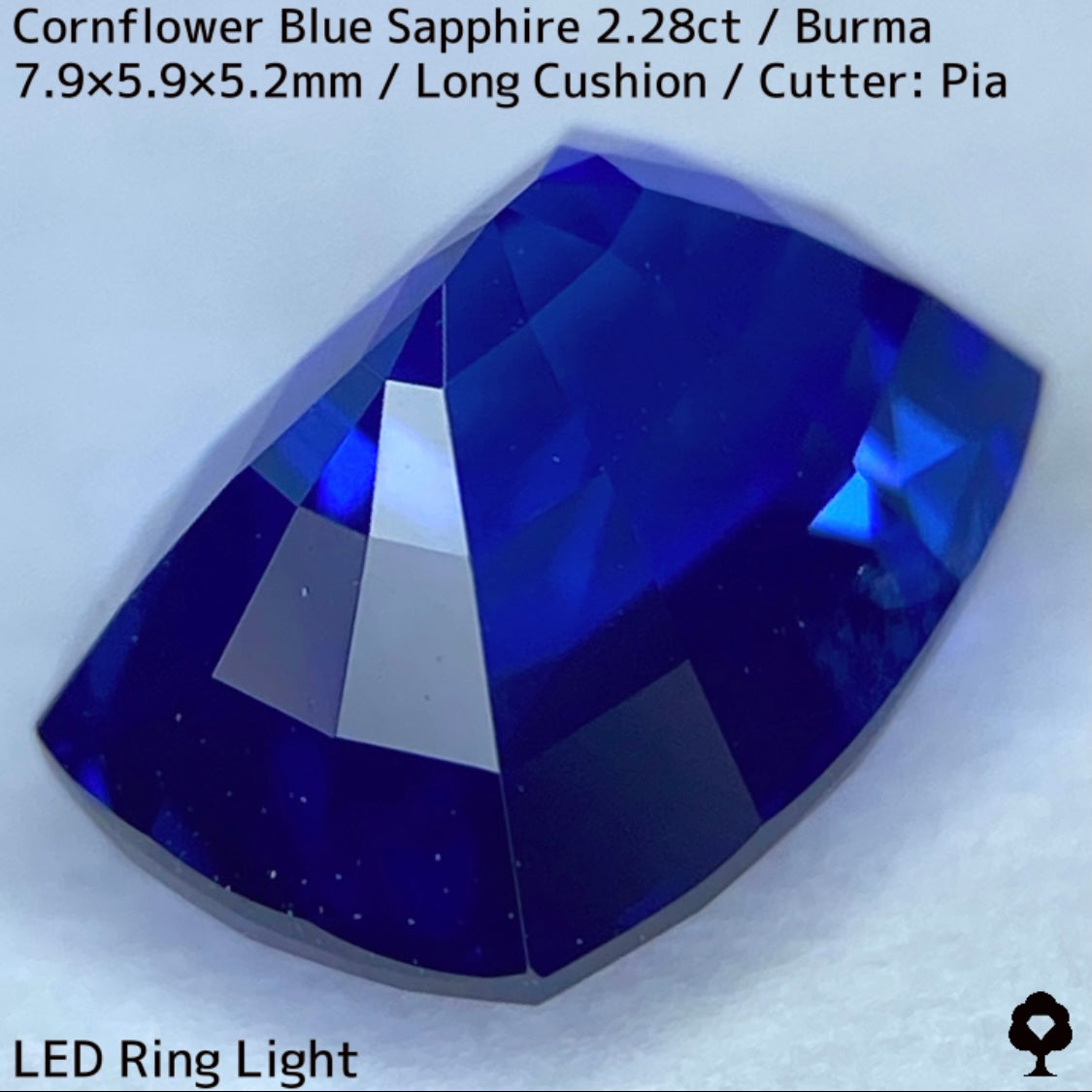 ビルマ産コーンフラワーブルーサファイア2.28ct★シルキー感も色合いもプロポーションも最高の希少ビルマ産