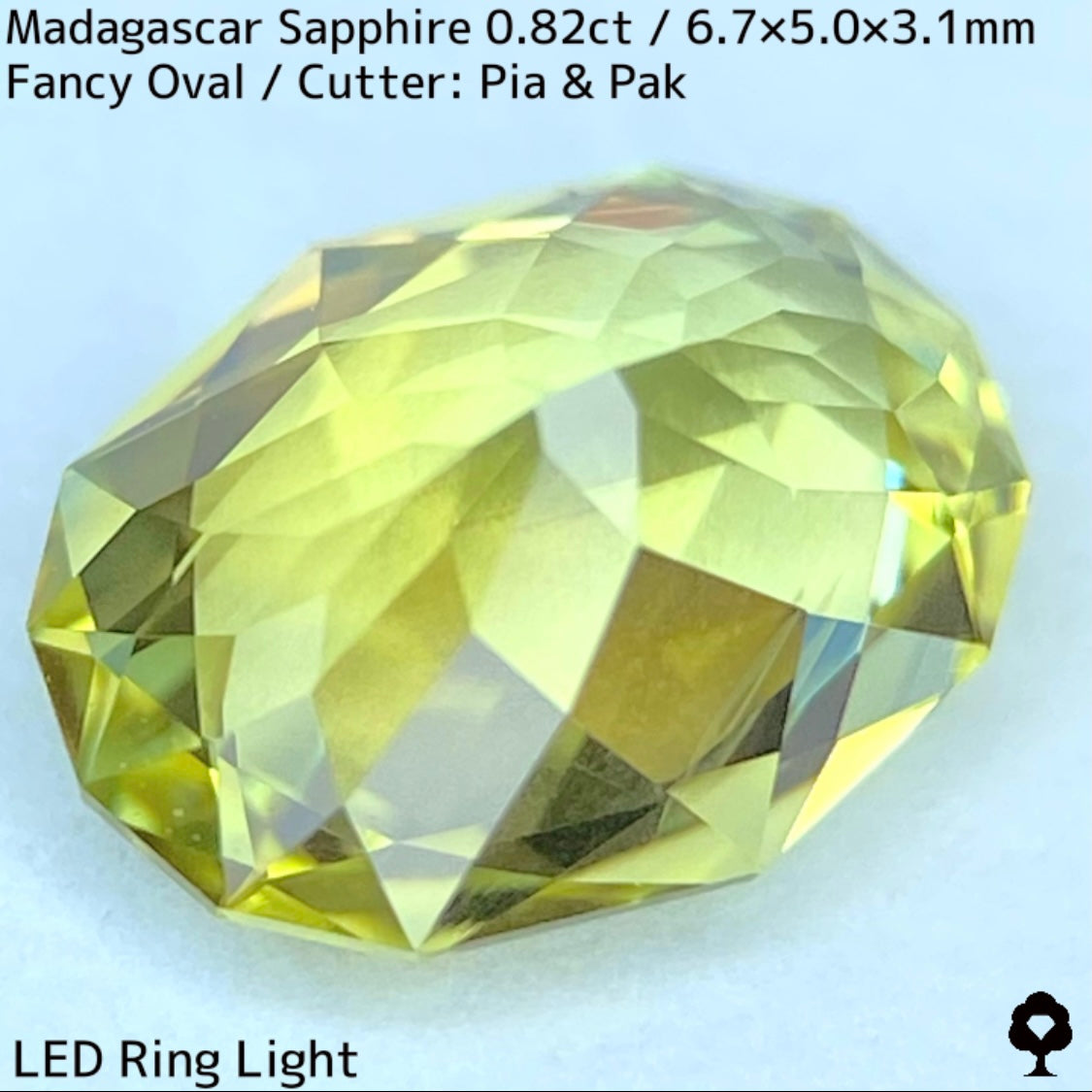 マダガスカル産サファイア0.835ct★煌めき抜群のイエローにブルーの色だまりが混ざるファイアー煌めくライトライムカラー