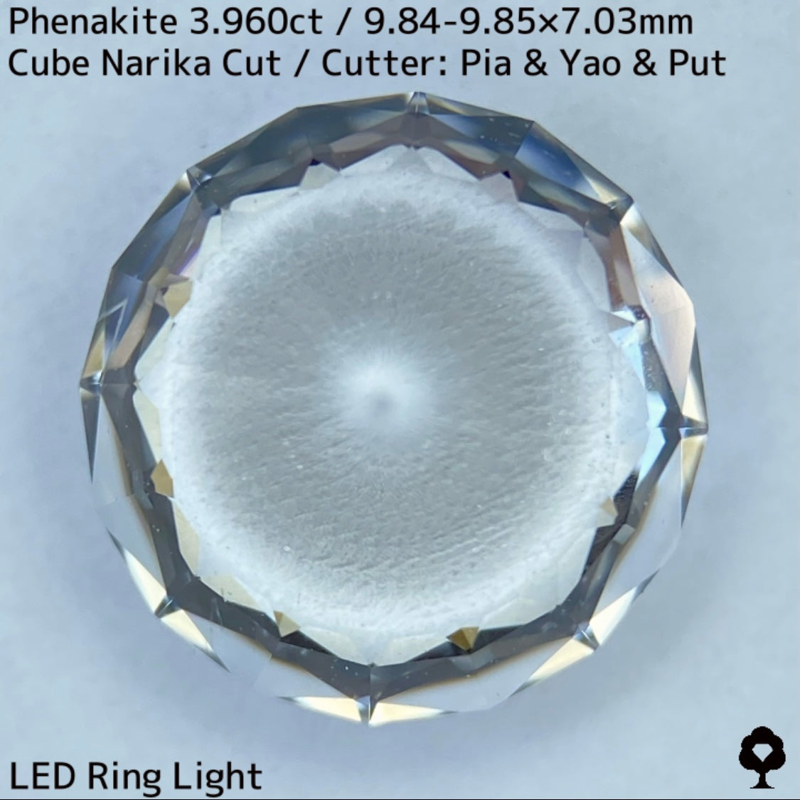 粉雪の舞う雪景色のような凛とした美しさの大粒レアストーンナリカーカット★フェナカイト3.960ct