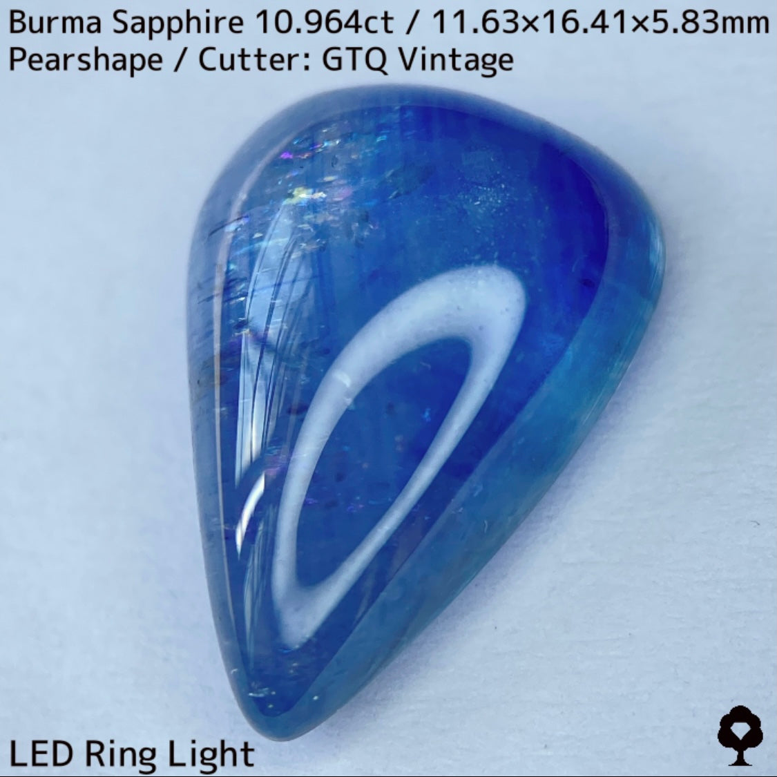 ビルマ産サファイア10.964ct★煌めく虹インクルと実はキャッツが出るなど面白さ詰まった秘蔵品