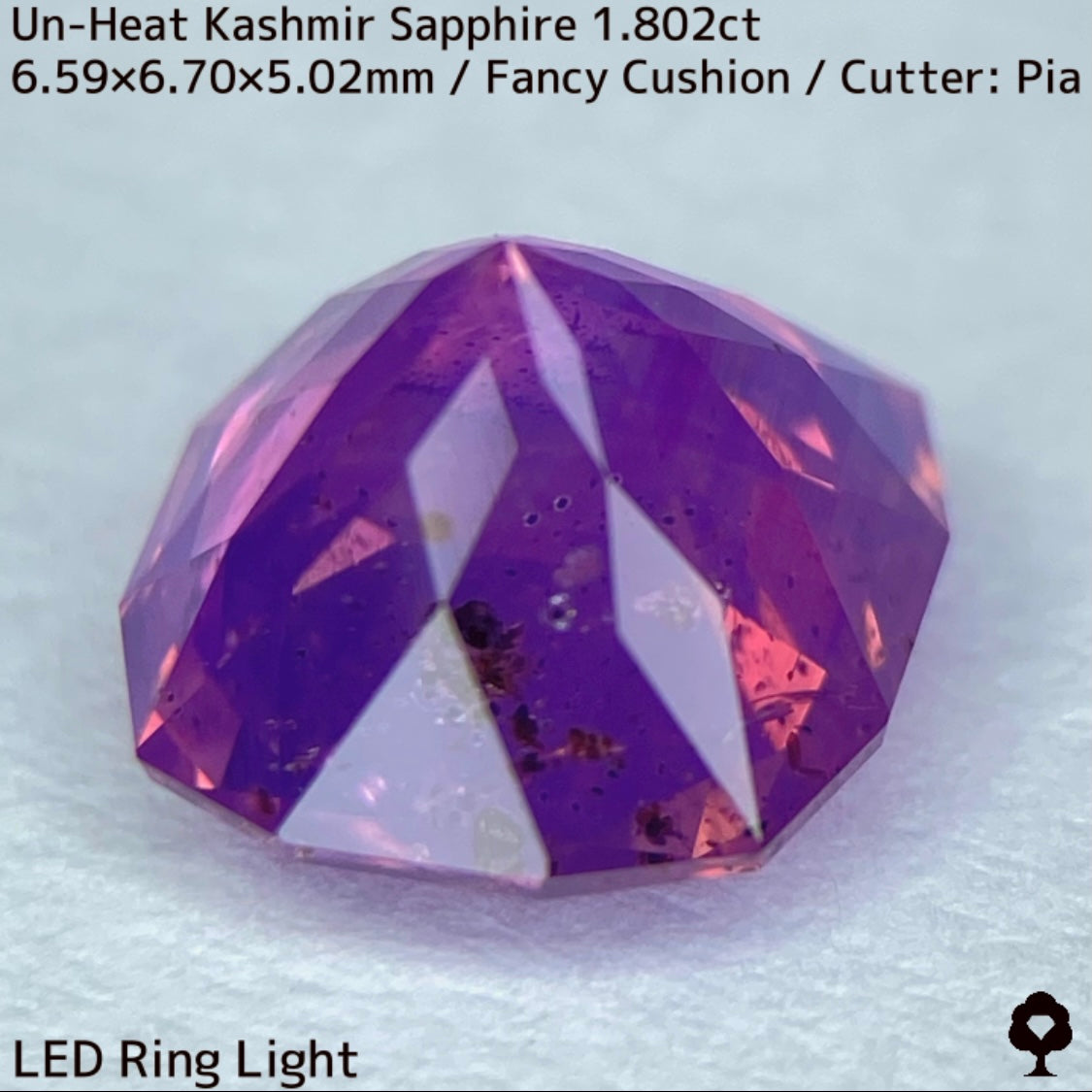 パキスタン産非加熱カシミールサファイア1.802ct★希産カシミールのらしさ全開の名品を色んな光源で楽しんで