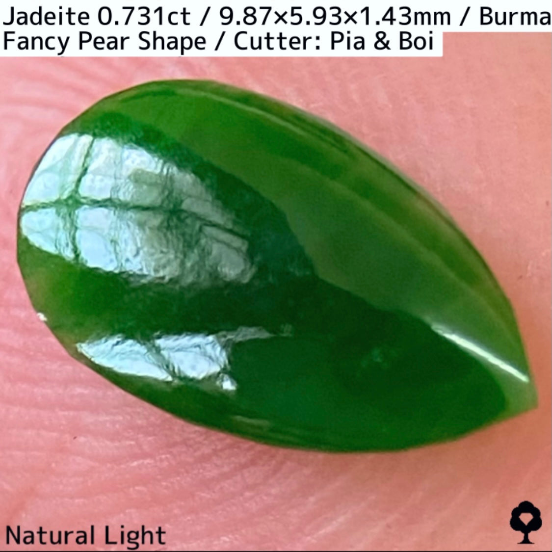 翡翠0.731ct★GTJ創業者大御所のセレクトのお手本翡翠に細やかな縁取り