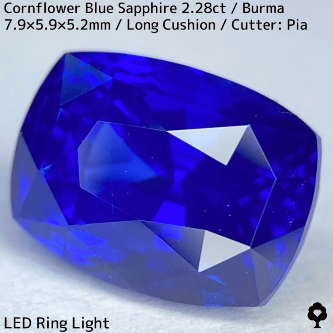 ビルマ産コーンフラワーブルーサファイア2.28ct★シルキー感も色合いもプロポーションも最高の希少ビルマ産