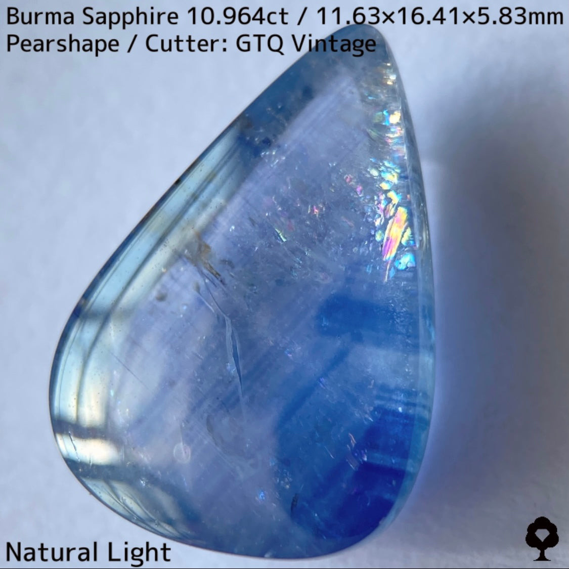 ビルマ産サファイア10.964ct★煌めく虹インクルと実はキャッツが出るなど面白さ詰まった秘蔵品