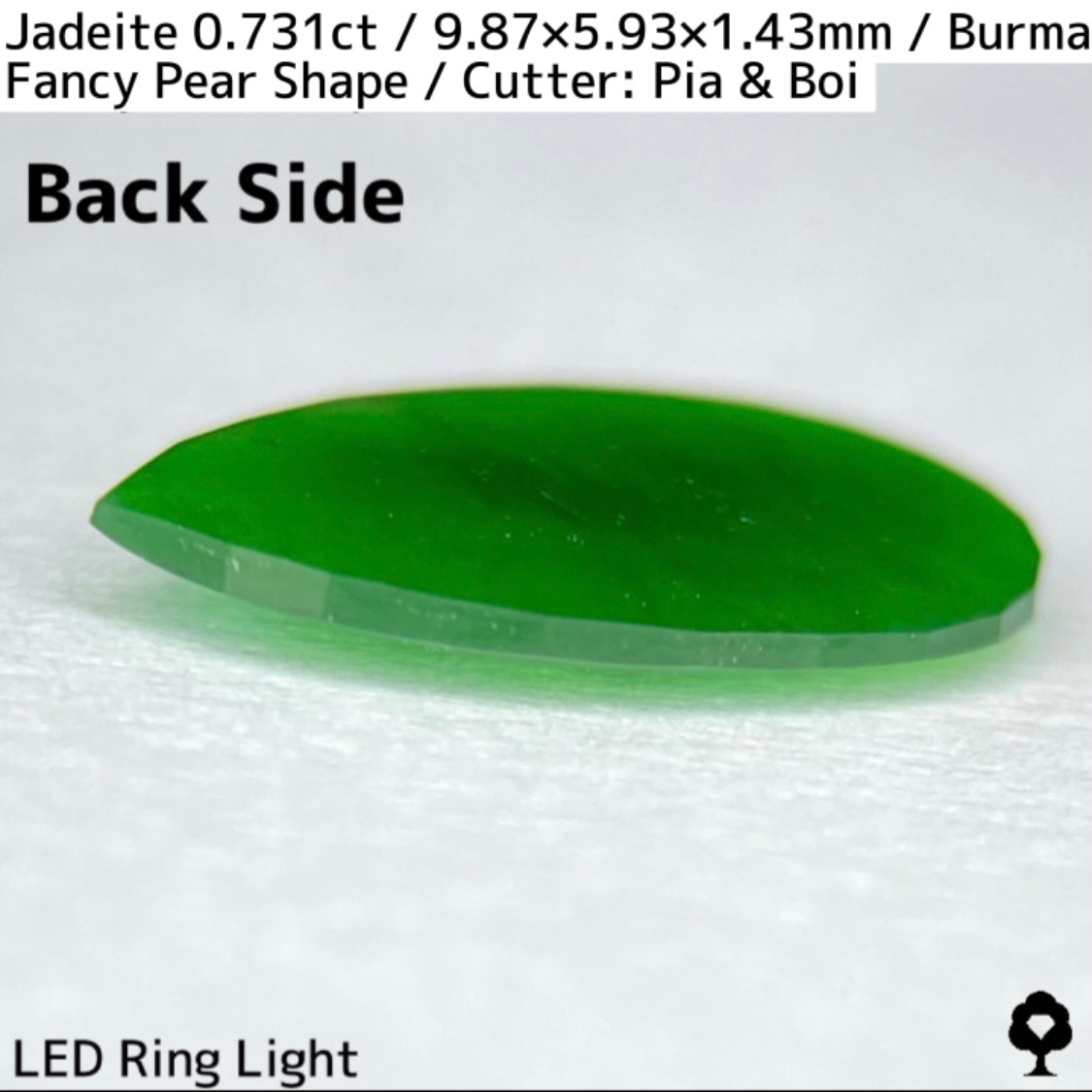 翡翠0.731ct★GTJ創業者大御所のセレクトのお手本翡翠に細やかな縁取り
