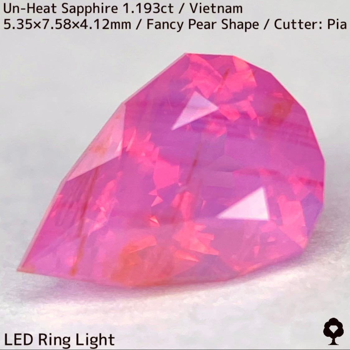 【ご当選者さま専用】ベトナム産非加熱サファイア1.193ct★コランダムフォーカス抽選販売プライス