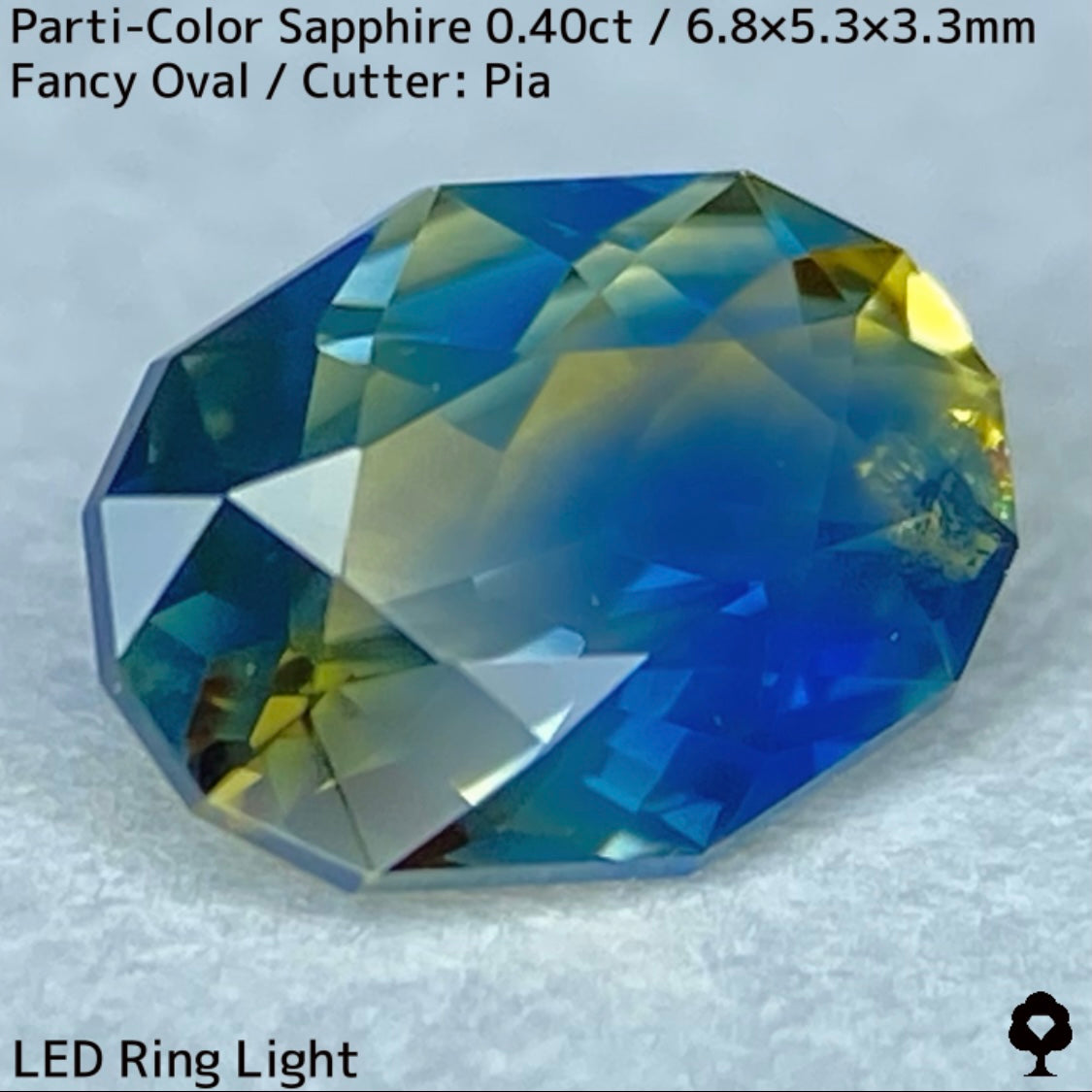 カンチャナブリー産パーティカラーサファイア0.40ct★鮮やかなイエローにシルキーブルーの色だまり