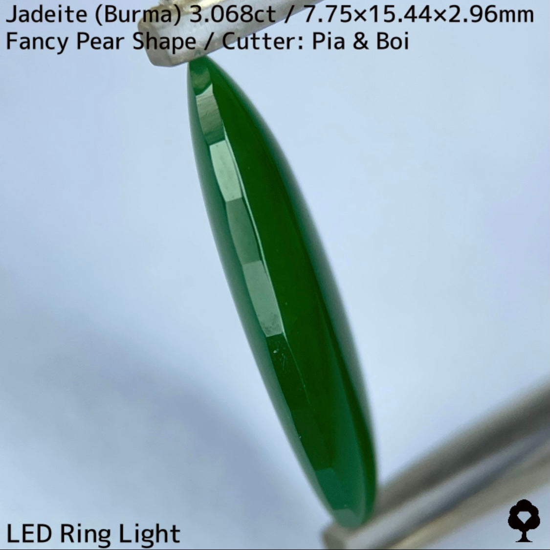 翡翠3.068ct★マスターストーンと言える濃色美グリーンのさりげなく輪郭が縁取られたツヤツヤファンシーペアシェイプ