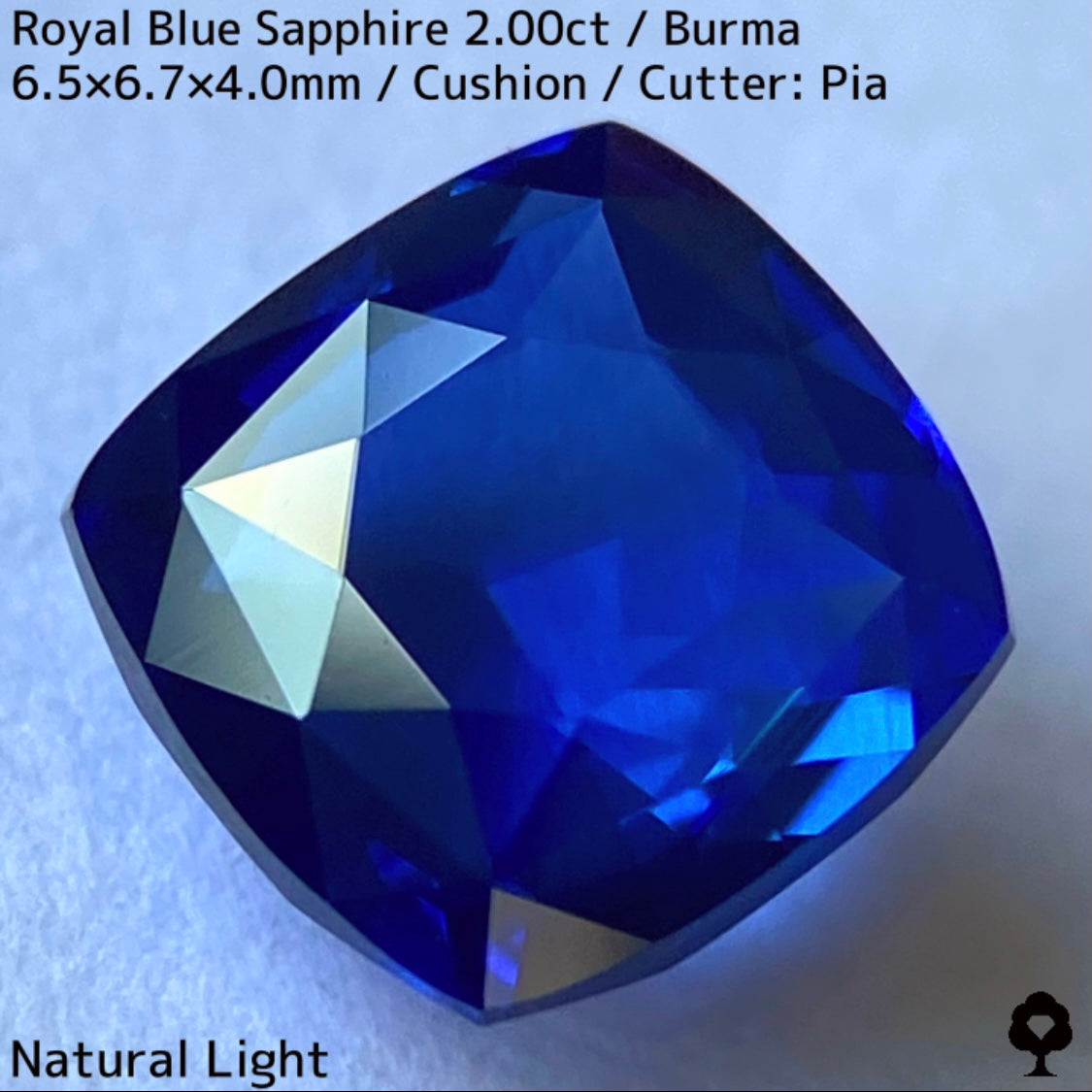 【カットを進めるか選択出来る】ビルマ産ロイヤルブルーサファイア2.00ct★超美色美結晶の希少2.00ctであの大御所が一旦ストップした悩み中だからこその特別プライス