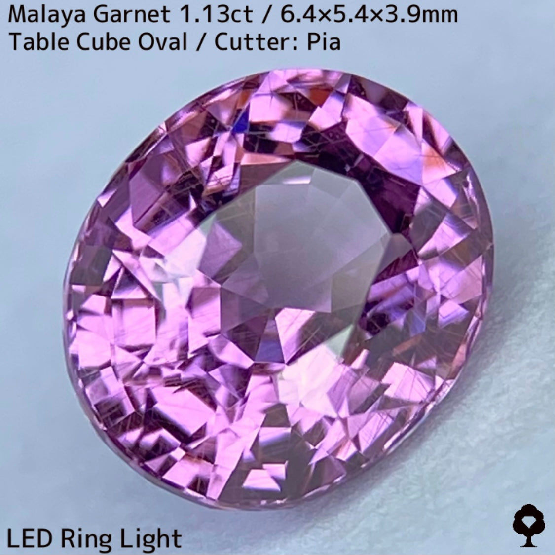【ご当選者さま専用】マラヤガーネット1.13ct★光や時間によって変わる美ピンクの針インクル入り美結晶は煌きが止まらない