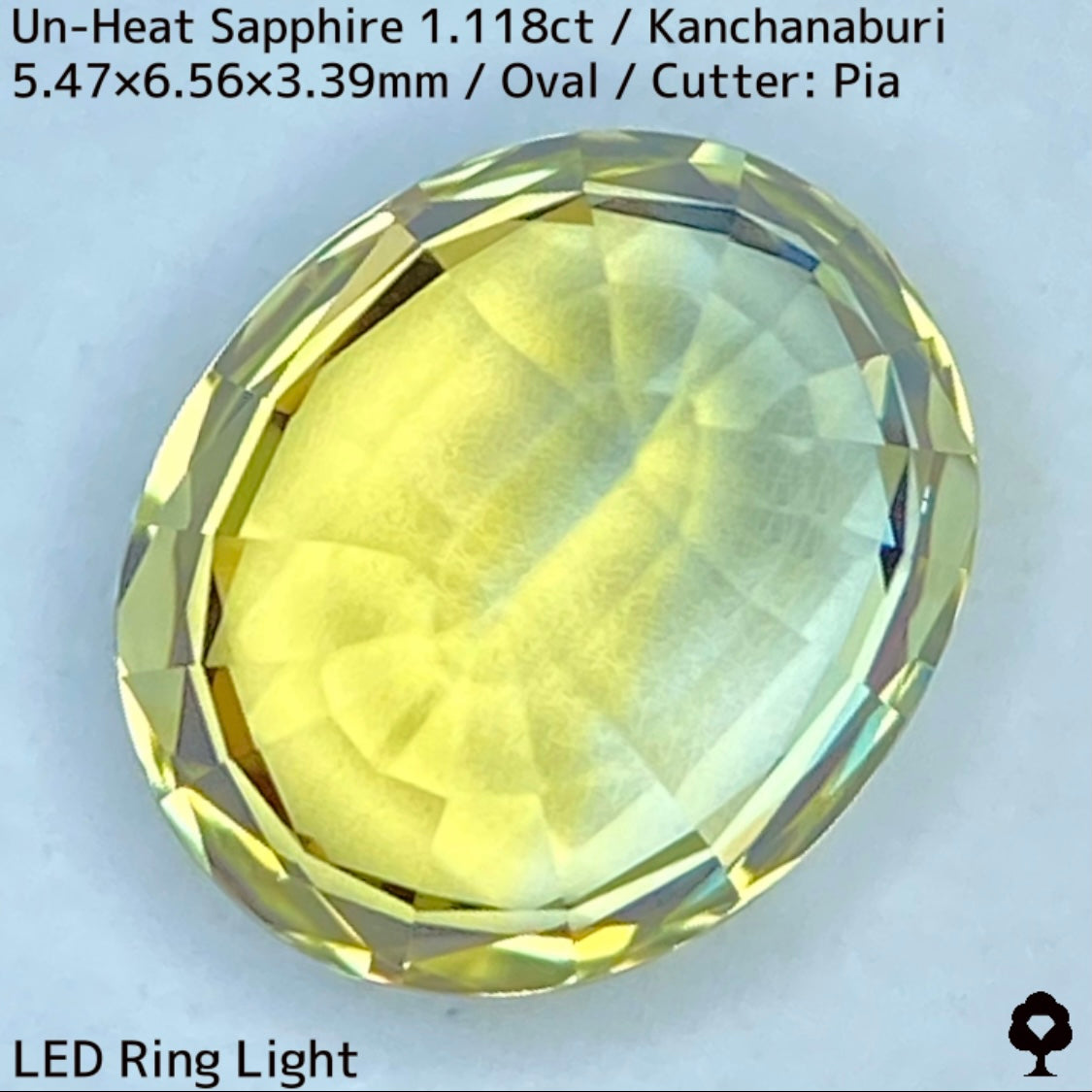 カンチャナブリー産非加熱サファイア1.118ct★弾けるライトグリニッシュイエローの強く美しい煌めき
