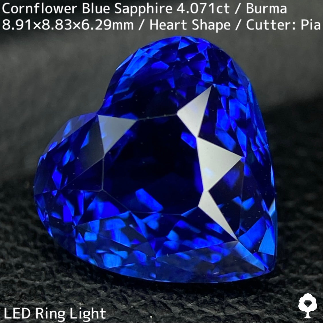 ビルマ産コーンフラワーブルーサファイア4.071ct★ロイヤルブルー寄りの濃いめ最高コーンフラワーブルーが美しすぎる超一級品