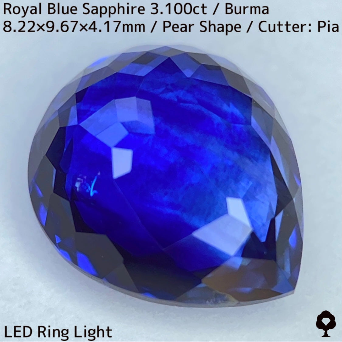 ビルマ産ロイヤルブルーサファイア3.100ct★ふっくらとした可愛いペアシェイプに仕上げられた趣ある超美色ロイヤルブルー