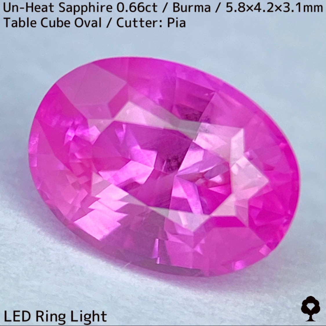 【お客さま専用】ビルマ産非加熱サファイア0.66ct★クリアさもあるシルキーピンクの可愛い強蛍光オーバル