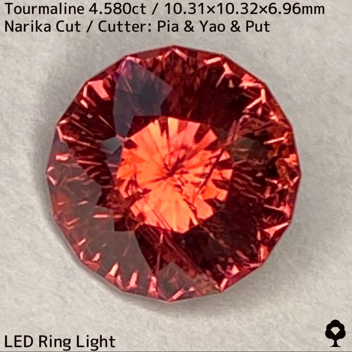 オレンジとルベライトカラー融合した美色に和の趣感じるインクル★トルマリン4.580ct