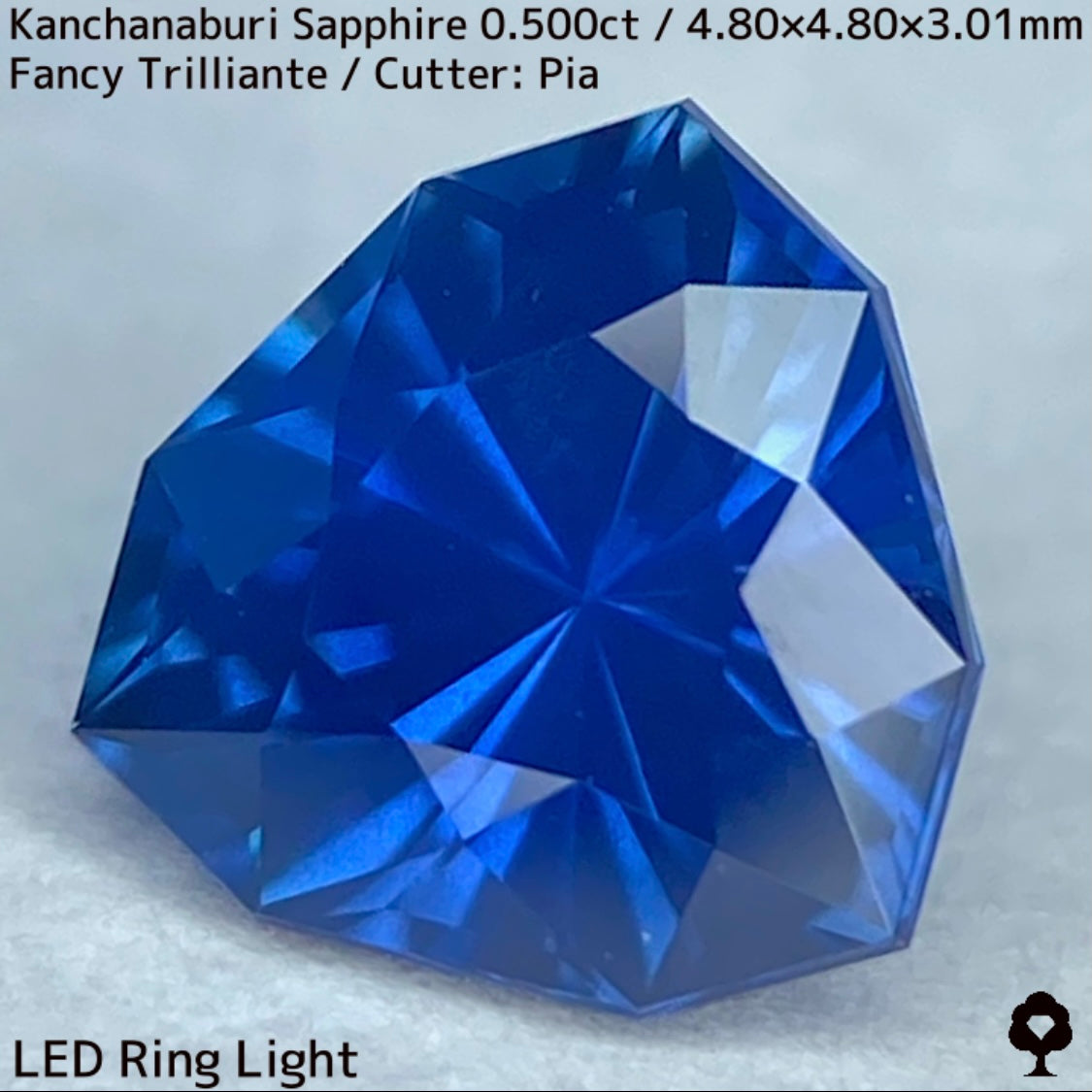 【GW特別企画★30%まほチケキャッシュバック】カンチャナブリー産サファイア0.500ct★シルキーでグリニッシュなカンチャブルーから鋭いナリカーの煌めき