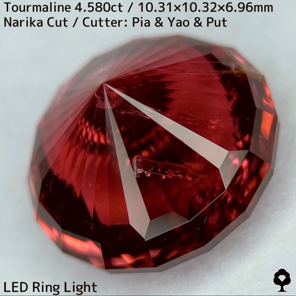 オレンジとルベライトカラー融合した美色に和の趣感じるインクル★トルマリン4.580ct